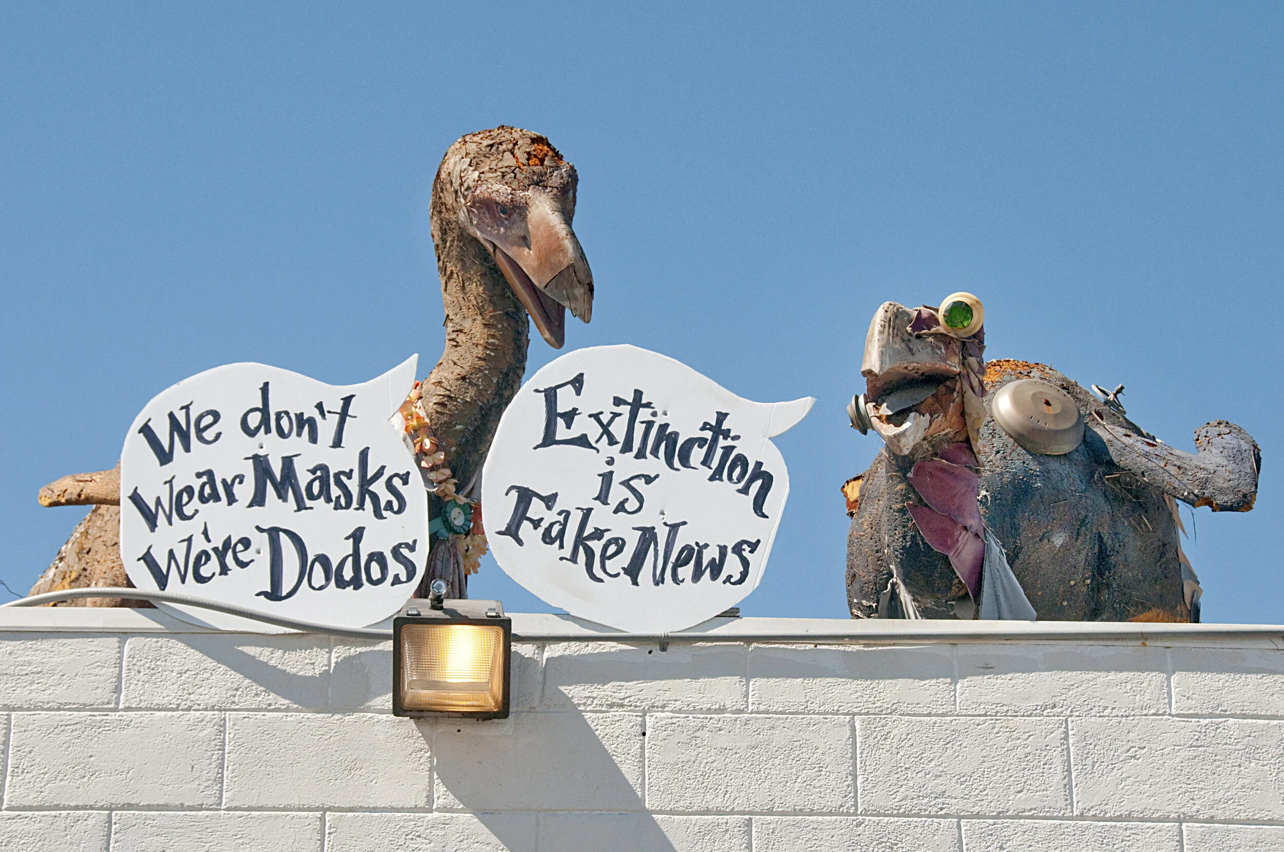 Dodo Wisdom — Obtainium Works